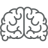 neurologia